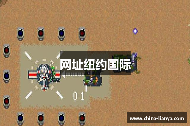 网址纽约国际